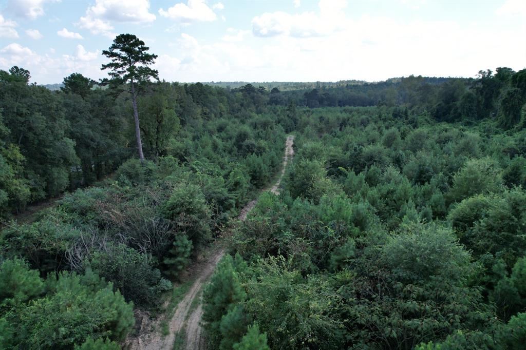 TBD-A Old Hwy 135, Gladewater, Texas image 9