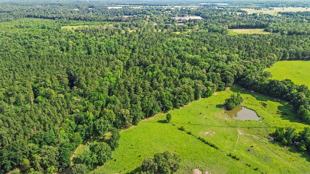 875 Golf Course Rd, Lufkin, Texas image 28