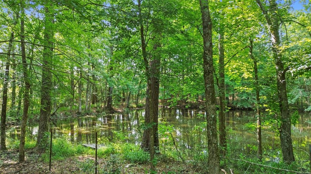 875 Golf Course Rd, Lufkin, Texas image 31
