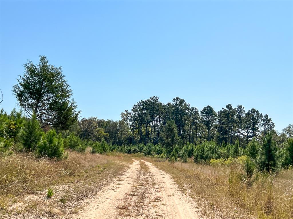 1 Off County Road 2925