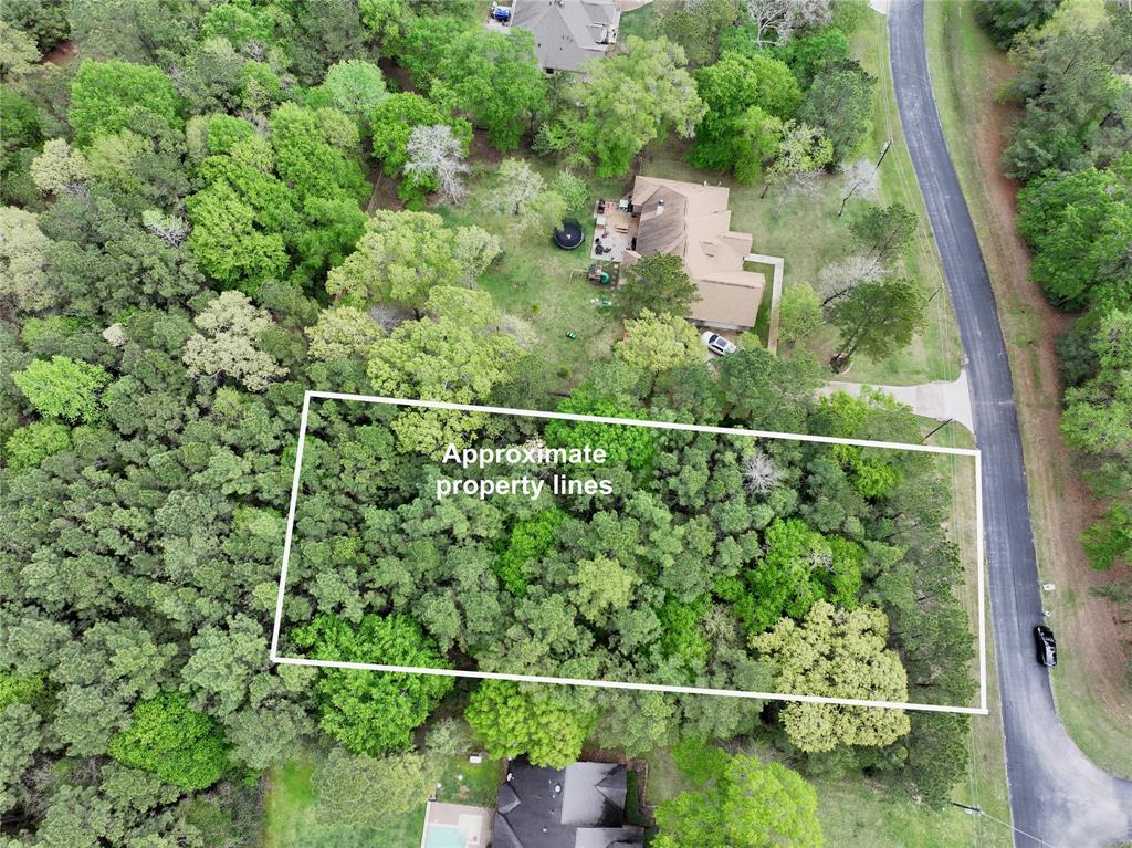 7579 Saddle Blanket Dr, Waller, Texas image 1