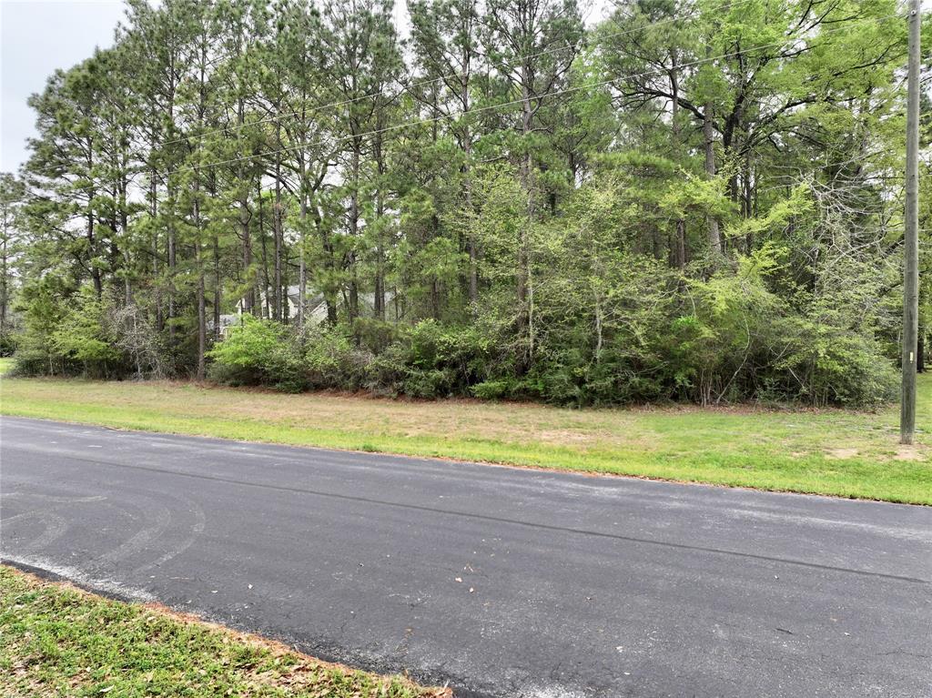 7579 Saddle Blanket Dr, Waller, Texas image 6