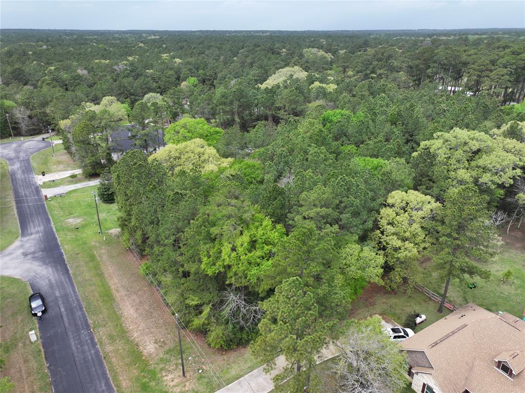 7579 Saddle Blanket Dr, Waller, Texas image 4