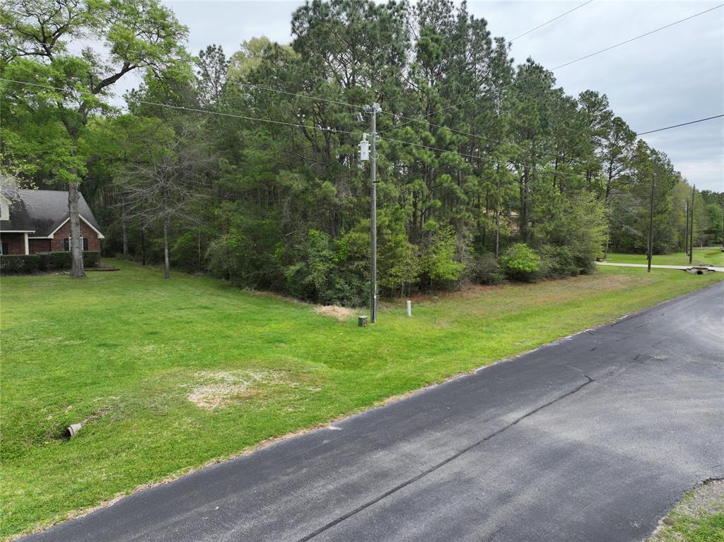 7579 Saddle Blanket Dr, Waller, Texas image 3