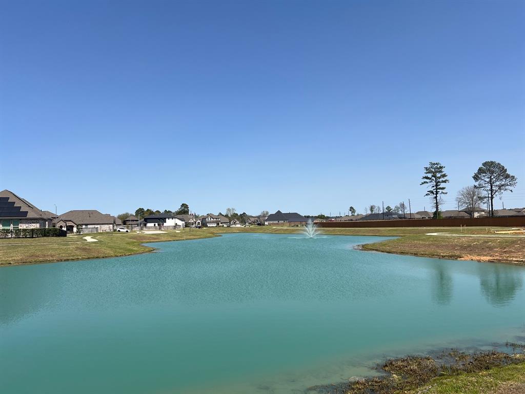 2254 Garden Arbor, Tomball, Texas image 13