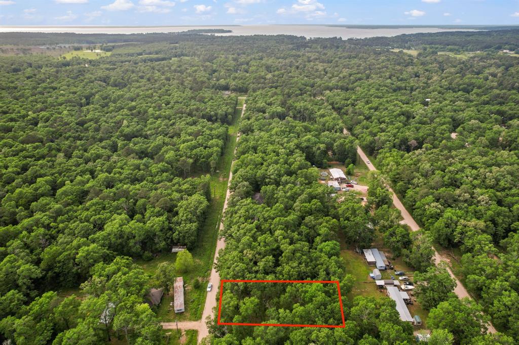 606 Moonbeam Lane, Livingston, Texas image 6
