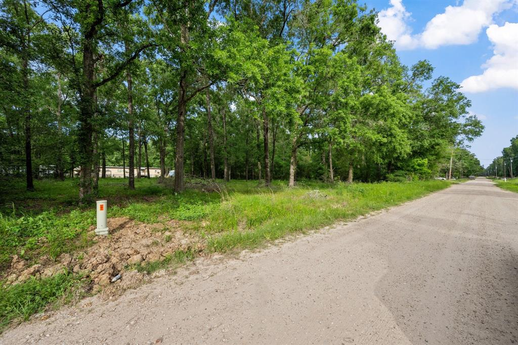 606 Moonbeam Lane, Livingston, Texas image 3