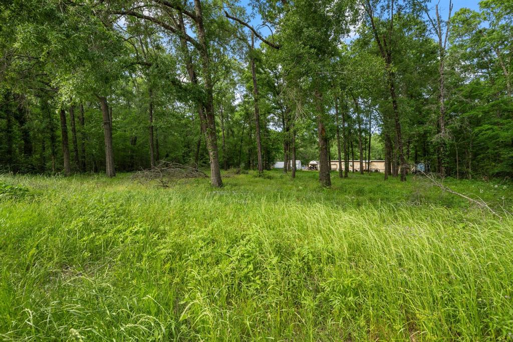 606 Moonbeam Lane, Livingston, Texas image 2