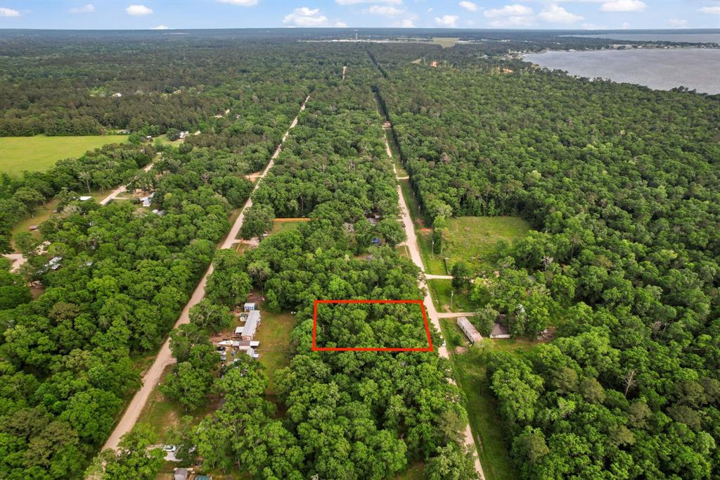 606 Moonbeam Lane, Livingston, Texas image 10
