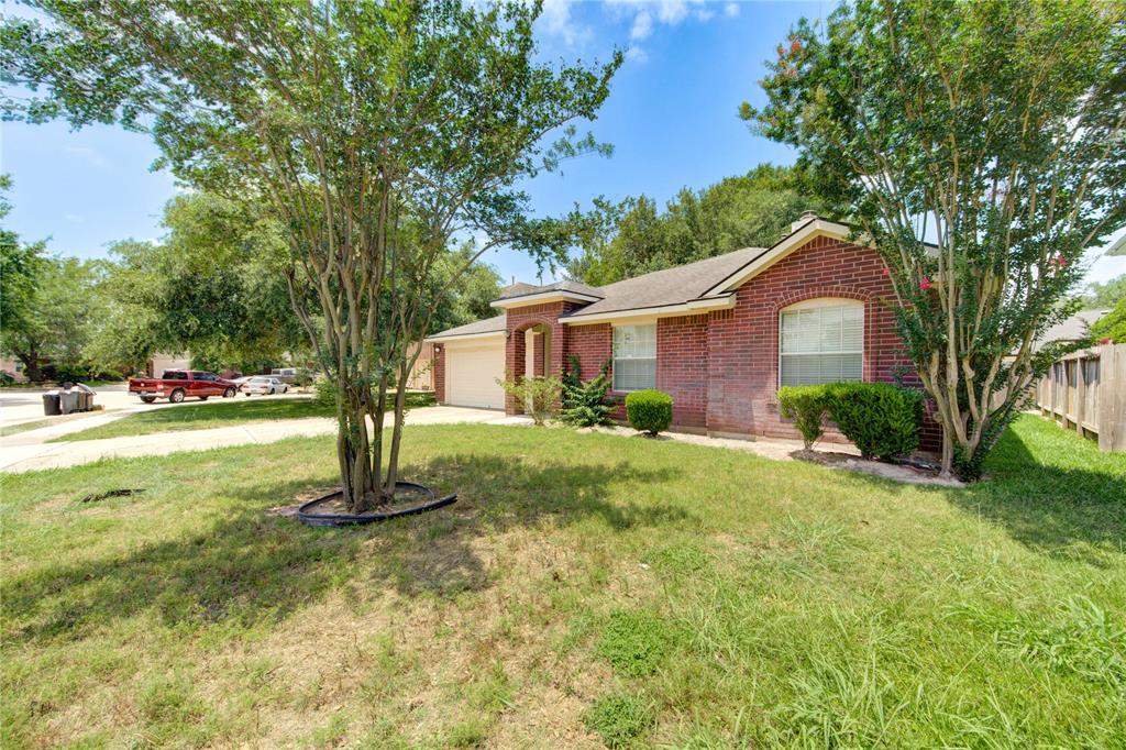 19814 Lindenfield Place, Katy, Texas image 3