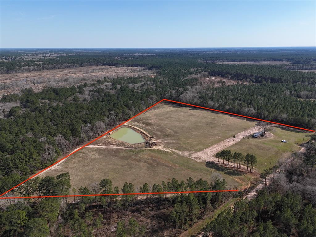 557 Holly Grove Road, Livingston, Texas image 2