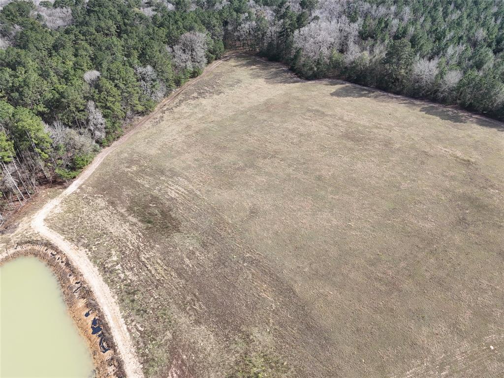 557 Holly Grove Road, Livingston, Texas image 10