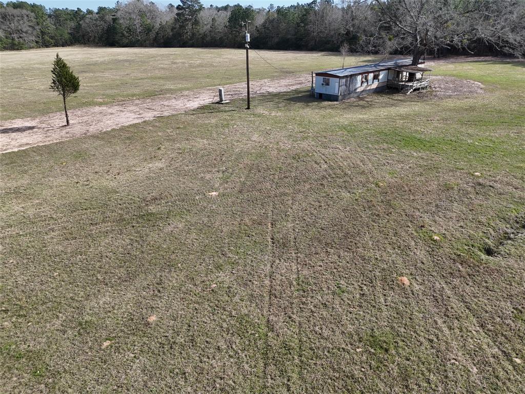 557 Holly Grove Road, Livingston, Texas image 13