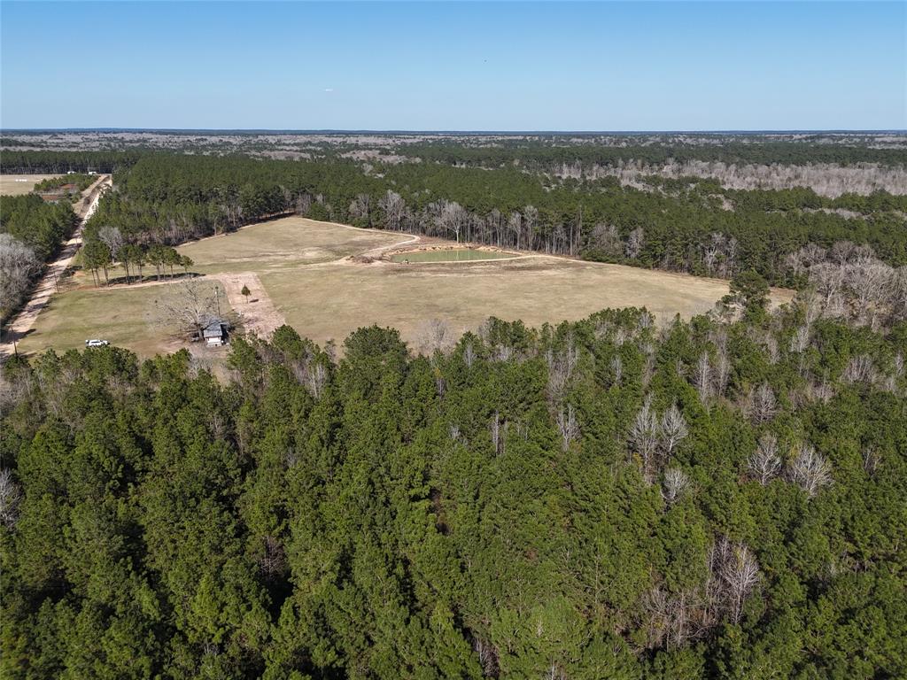 557 Holly Grove Road, Livingston, Texas image 5