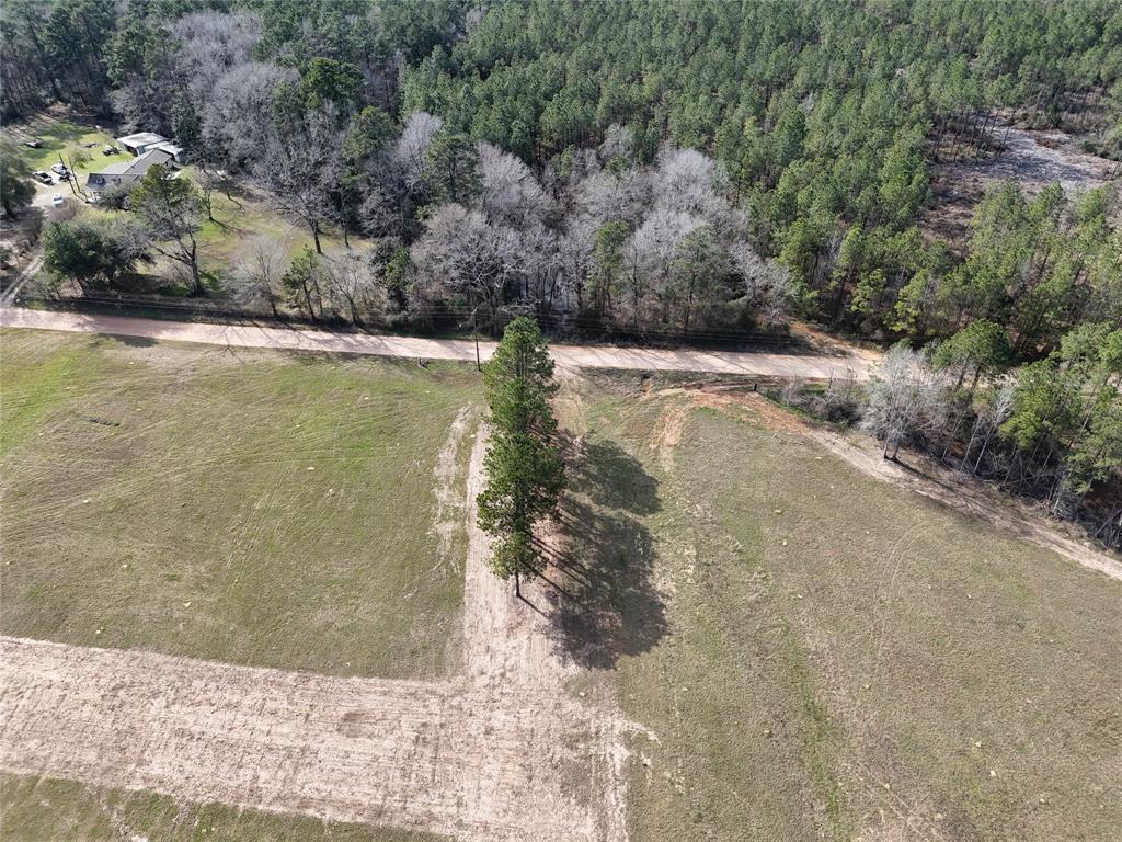 557 Holly Grove Road, Livingston, Texas image 11