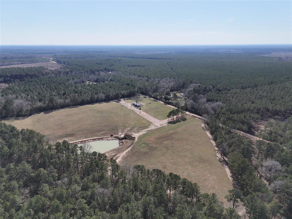 557 Holly Grove Road, Livingston, Texas image 3