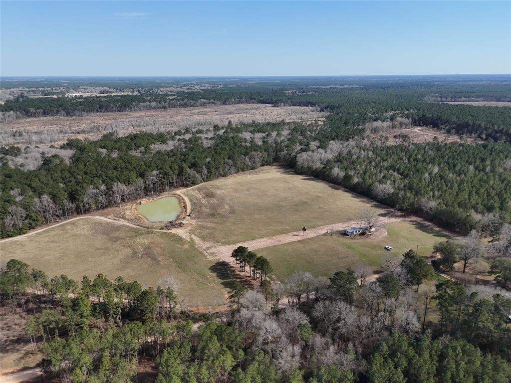 557 Holly Grove Road, Livingston, Texas image 1