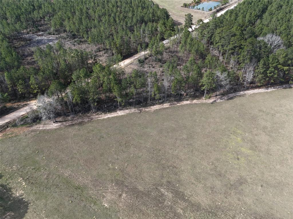557 Holly Grove Road, Livingston, Texas image 8
