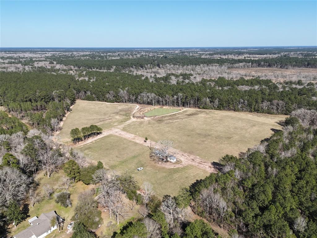 557 Holly Grove Road, Livingston, Texas image 6
