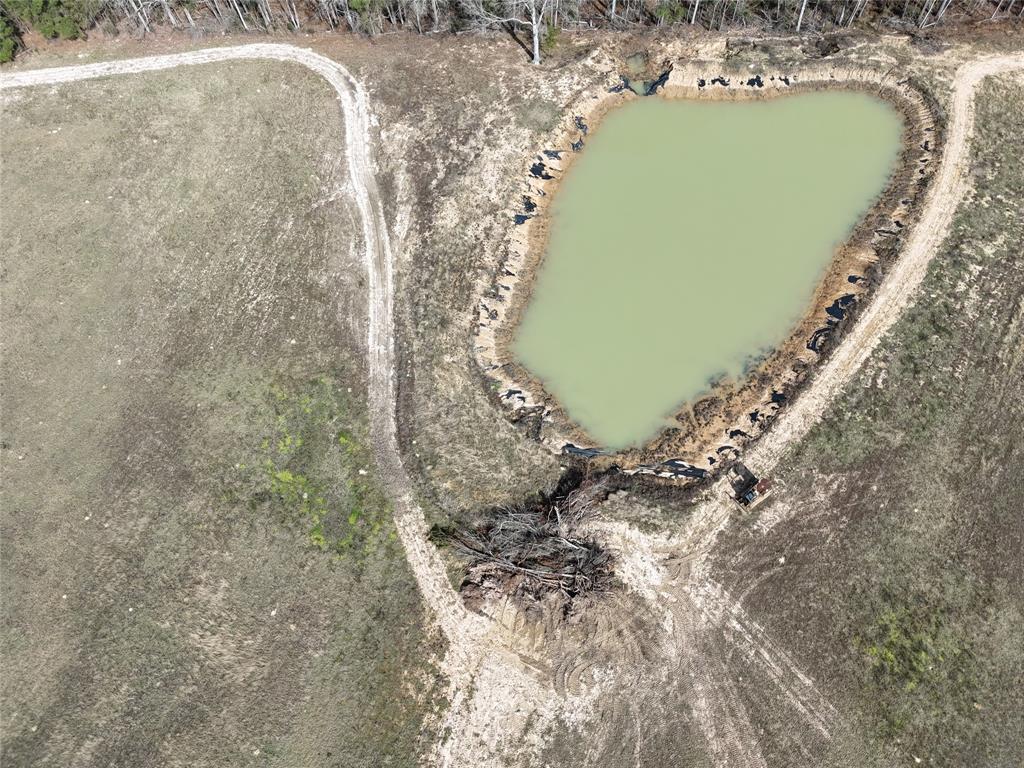 557 Holly Grove Road, Livingston, Texas image 7