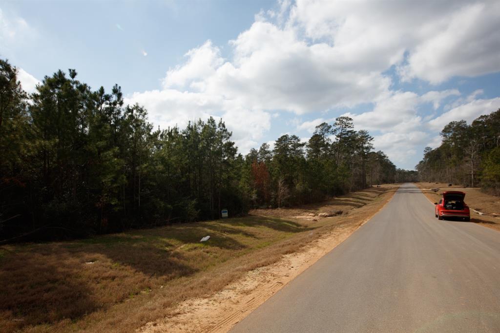 15261 Rubicon Road, Willis, Texas image 16