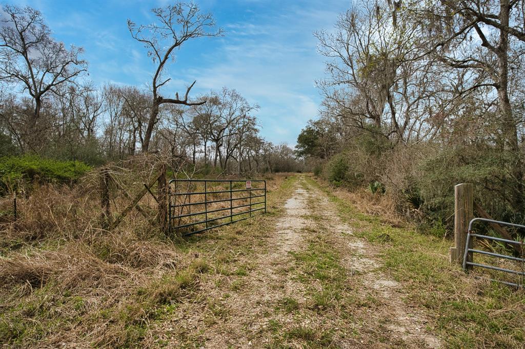 Fm-524, Sweeny, Texas image 8