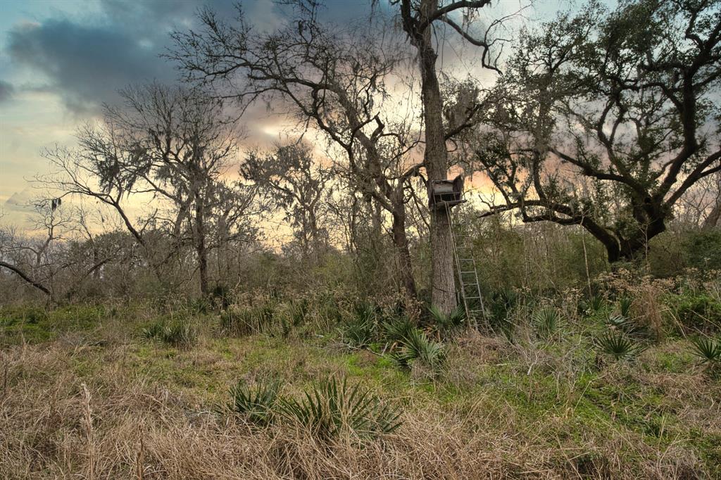 Fm-524, Sweeny, Texas image 6