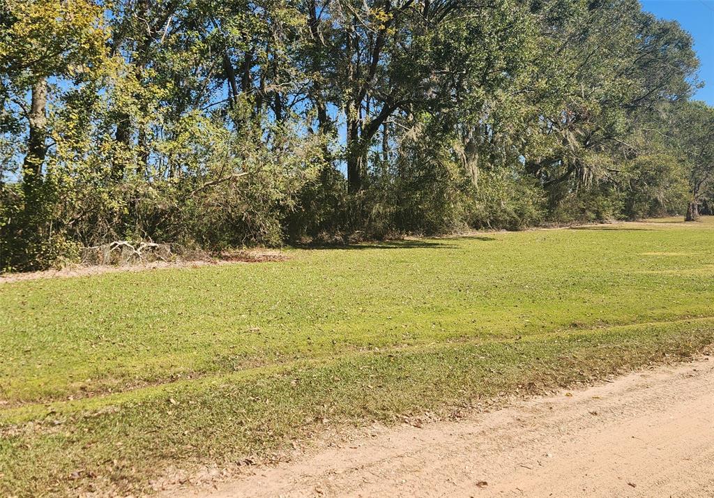 TBD Farmer Drive, Shepherd, Texas image 3