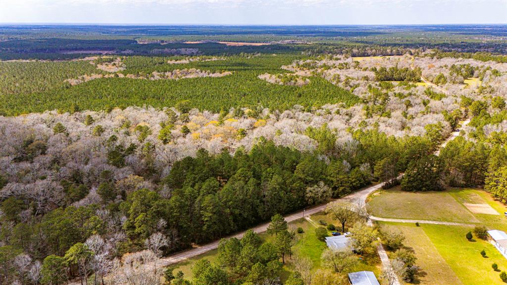 4106 Holly Grove Road, Livingston, Texas image 6