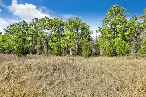 Single Family Residence in Coldspring TX 440 Town Creek Road 47.jpg