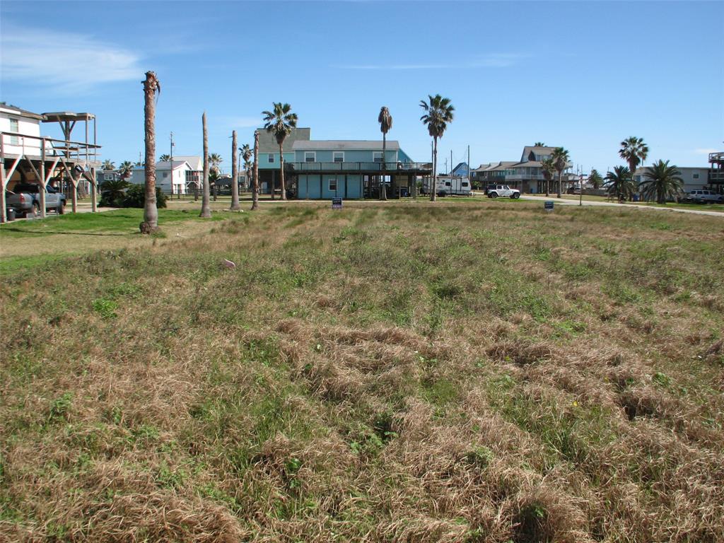 00 Treaty, Surfside Beach, Texas image 2