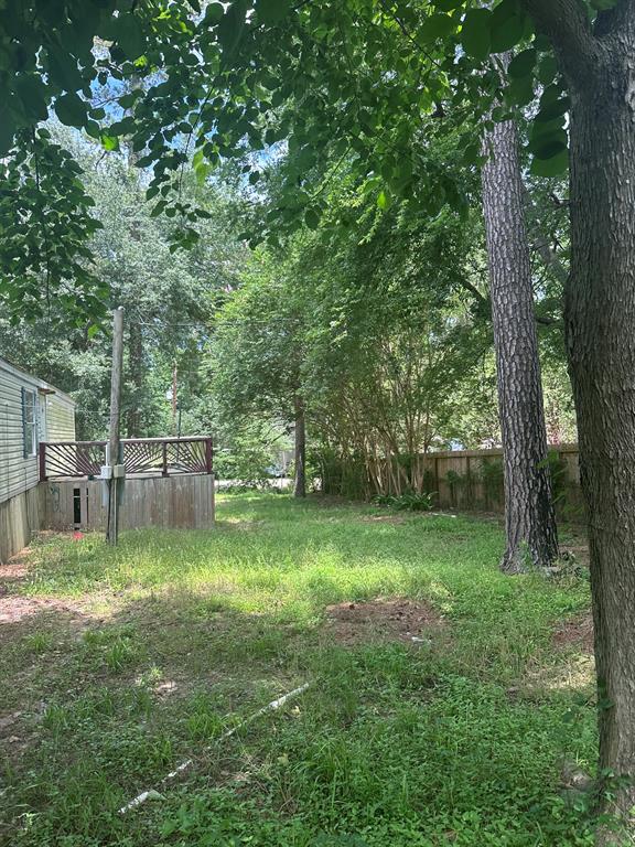 20183 Lakeway Lane, Montgomery, Texas image 5