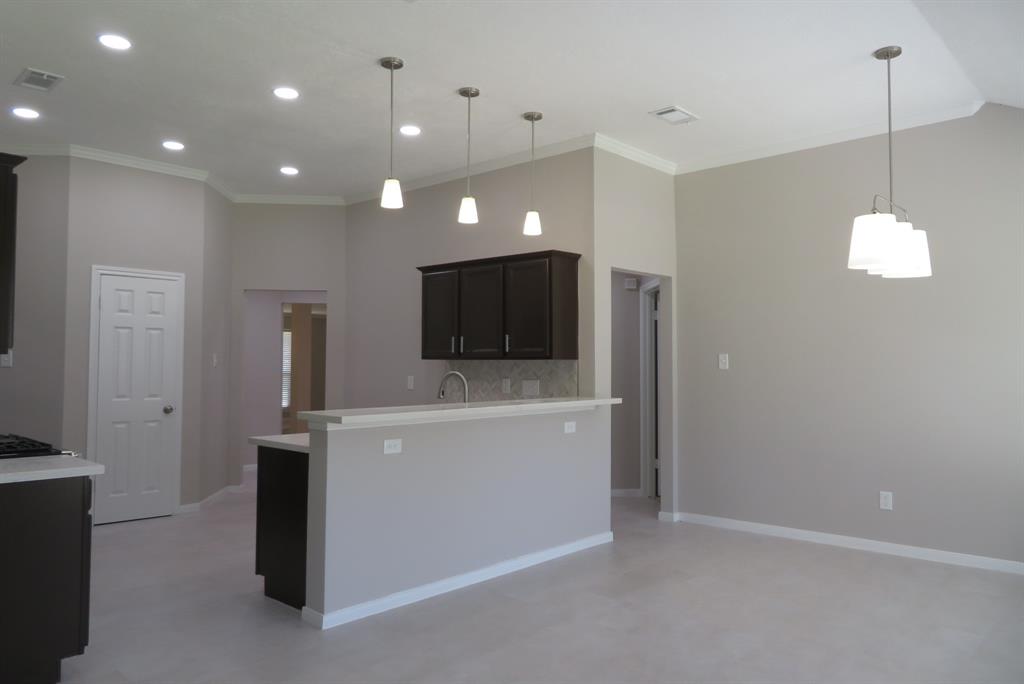 1606 Caslyn Drive, Rosenberg, Texas image 8