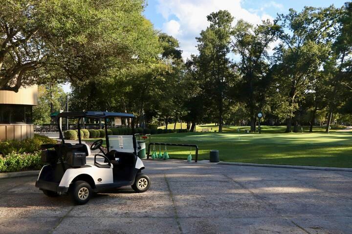 13151 Walden Road #142, Montgomery, Texas image 39