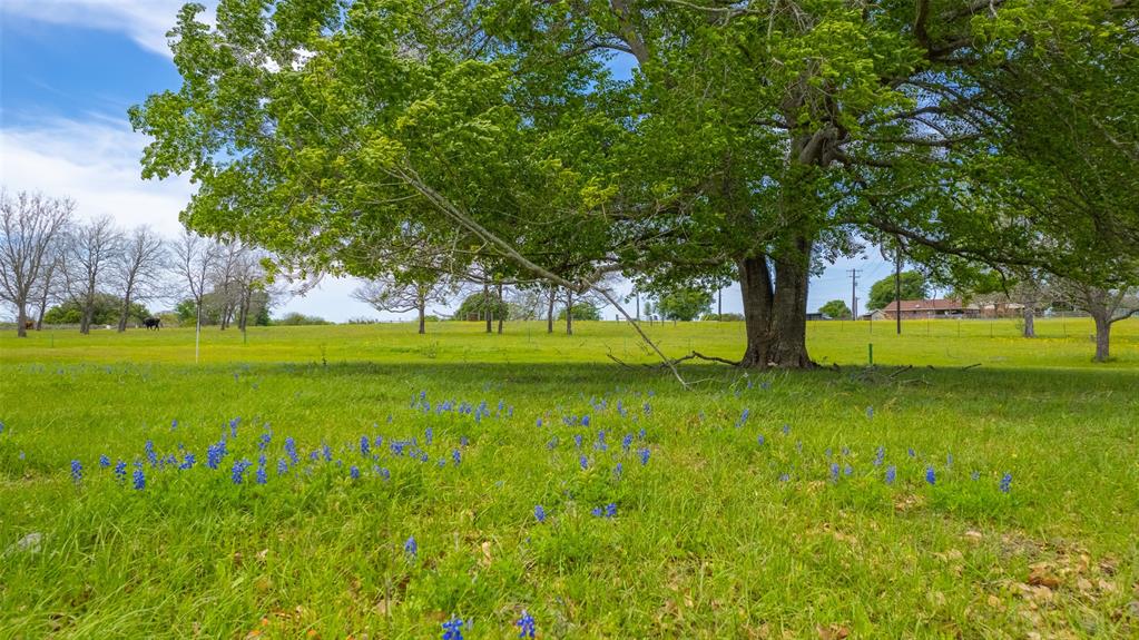 9201 Conner Road, Washington, Texas image 21