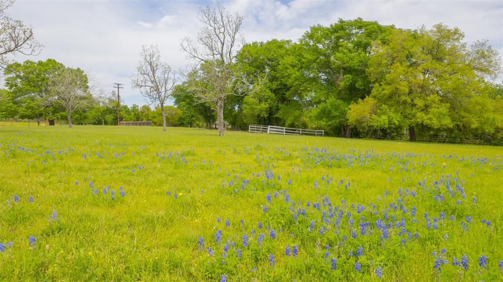 9201 Conner Road, Washington, Texas image 7