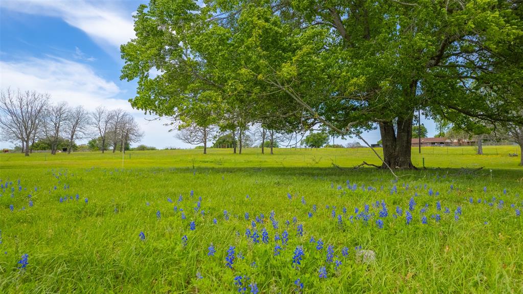 9201 Conner Road, Washington, Texas image 1