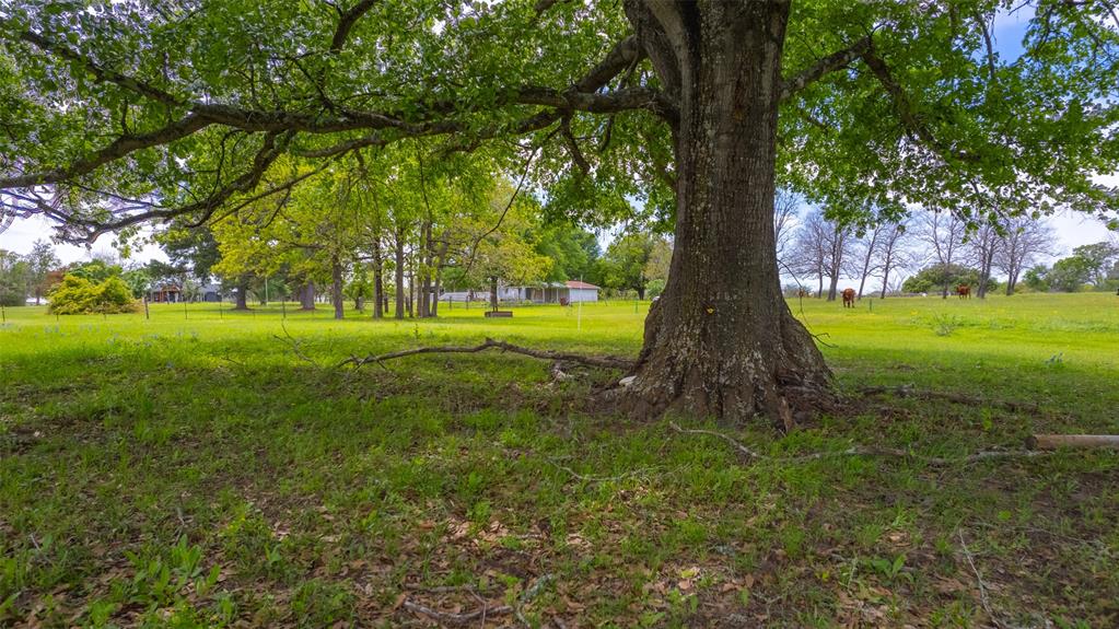 9201 Conner Road, Washington, Texas image 5