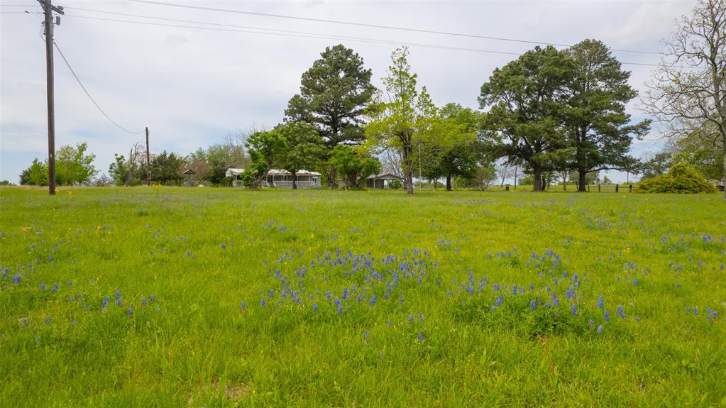 9201 Conner Road, Washington, Texas image 12