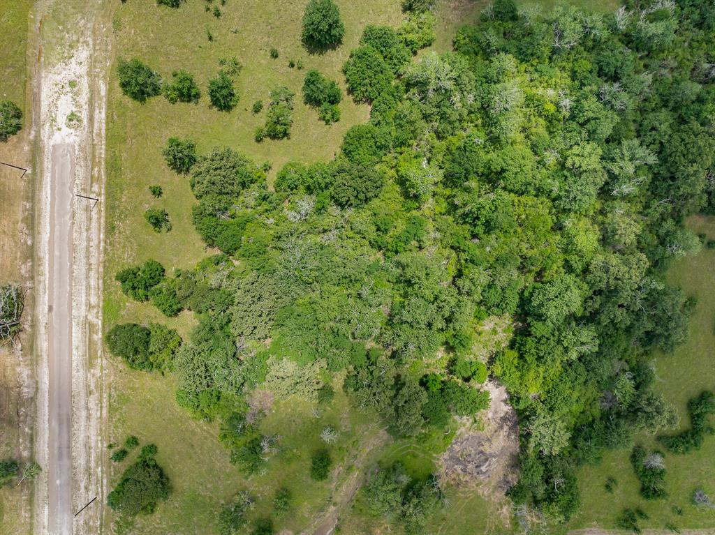 10677 Brushwood Cutoff, Bedias, Texas image 5