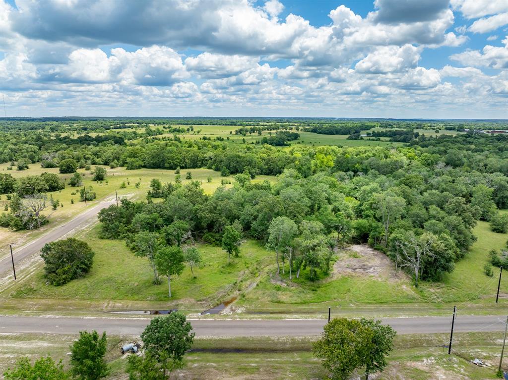 10677 Brushwood Cutoff, Bedias, Texas image 6