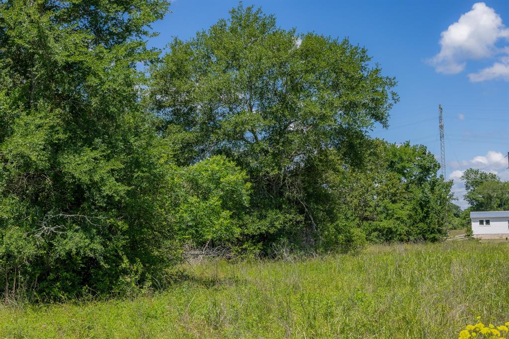 10677 Brushwood Cutoff, Bedias, Texas image 4