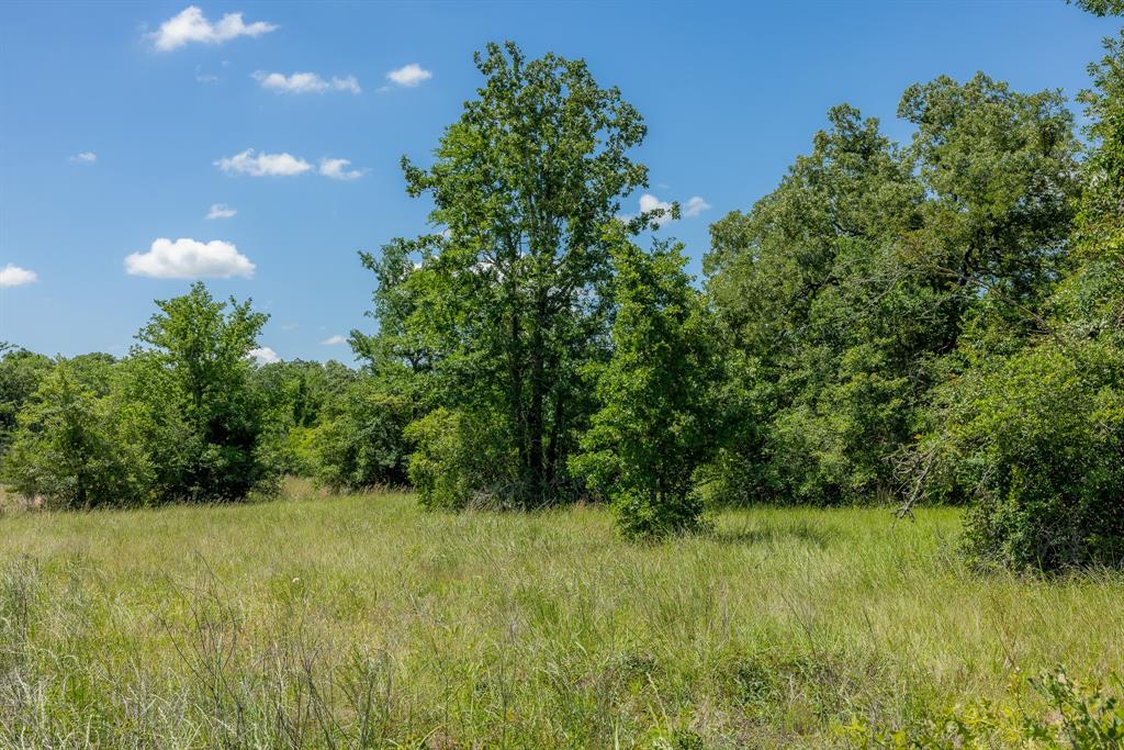 10677 Brushwood Cutoff, Bedias, Texas image 1