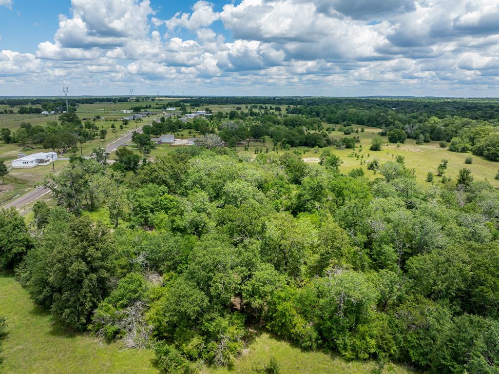 10677 Brushwood Cutoff, Bedias, Texas image 9