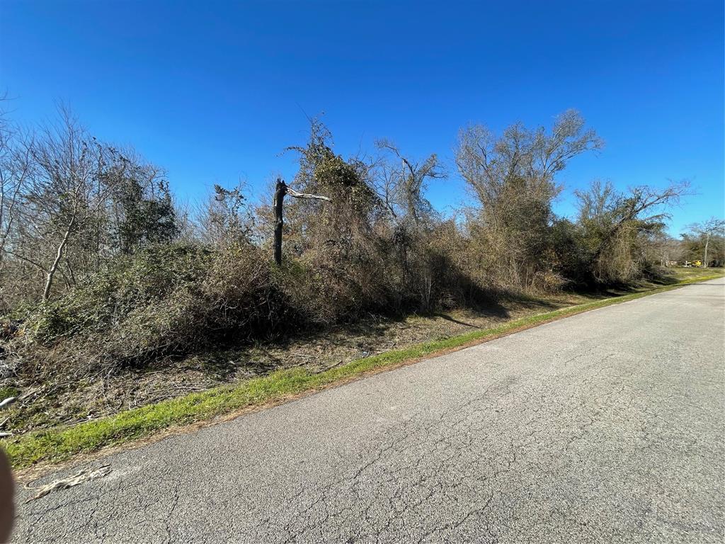 Yaupon St Street, Baytown, Texas image 14