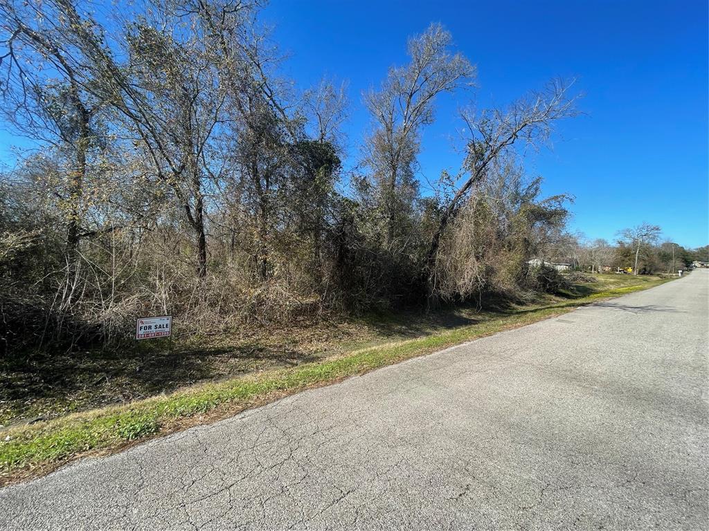 Yaupon St Street, Baytown, Texas image 1