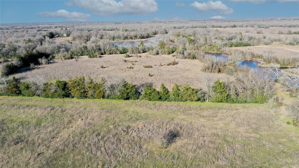 Tract 3 TBD County Road 124, Bedias, Texas image 7