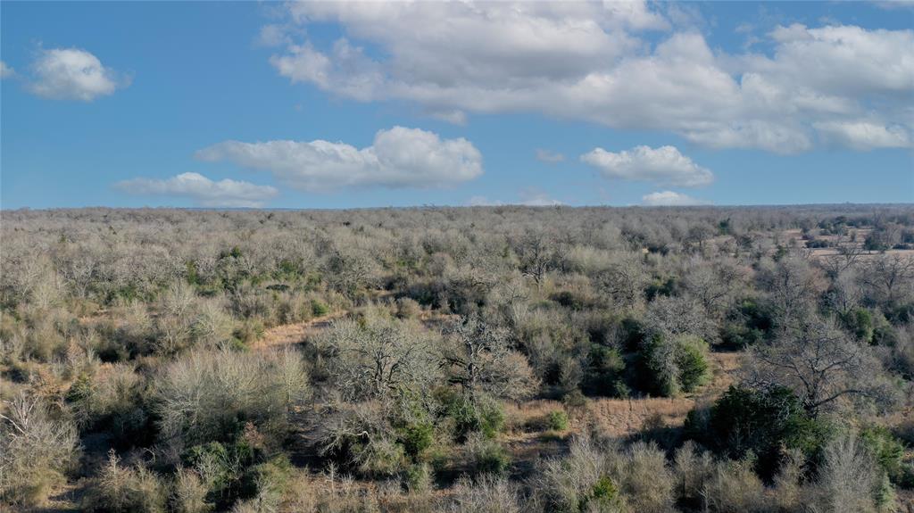 Tract 3 TBD County Road 124, Bedias, Texas image 13