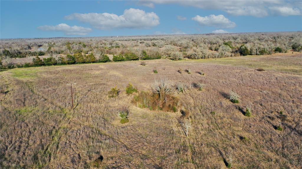 Tract 3 TBD County Road 124, Bedias, Texas image 8