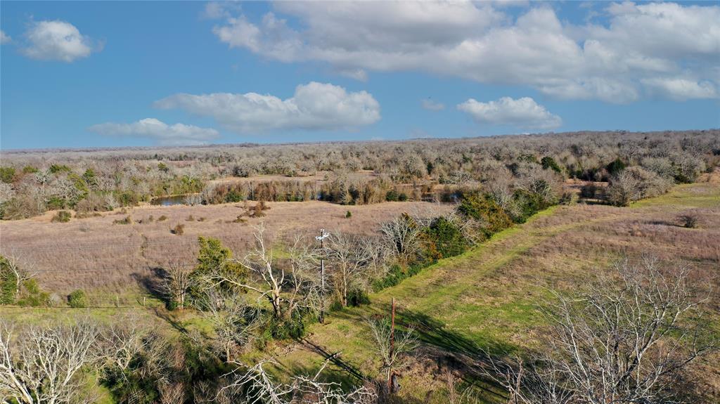 Tract 3 TBD County Road 124, Bedias, Texas image 15